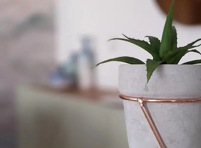 Lägenhet Duplex By The *